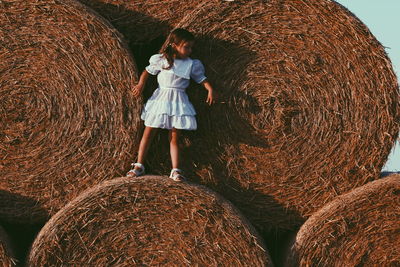 hay