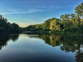 Reflection of trees in lake