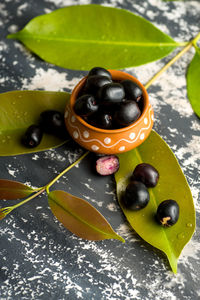 High angle view of black fruits on leaves