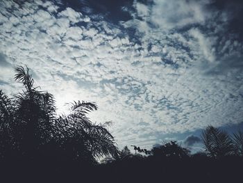 Low angle view of silhouette trees against sky