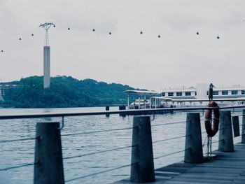 Seagull perching on pier