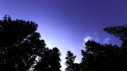 Low angle view of silhouette trees against blue sky