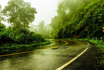 Road amidst trees against sky during rainy season