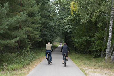 Rear view of man riding bicycle on road amidst trees