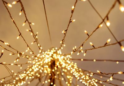 Low angle view of illuminated christmas lights against ceiling