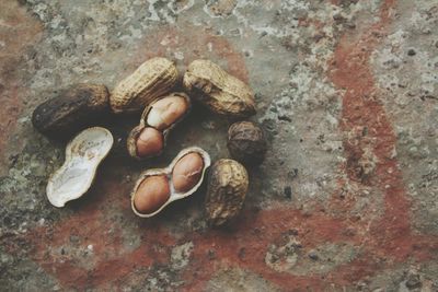 Close-up view of bread