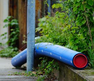 Close-up of blue pipe against plants in yard