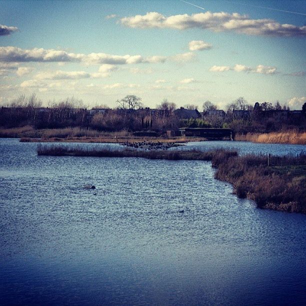 WetLandsTrust