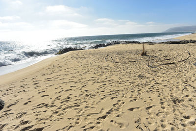 Circle labyrinth laid out in driftwood sticks on sand beach of baja california sur, mexico