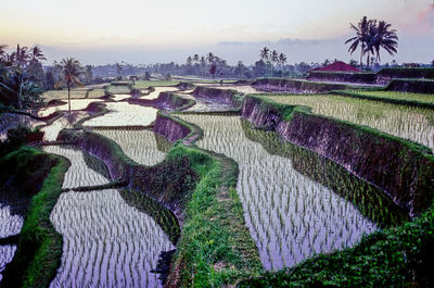 High angle view of agricultural field against sky