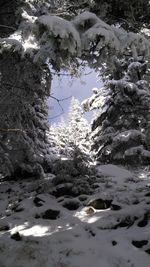 Scenic view of snow covered landscape