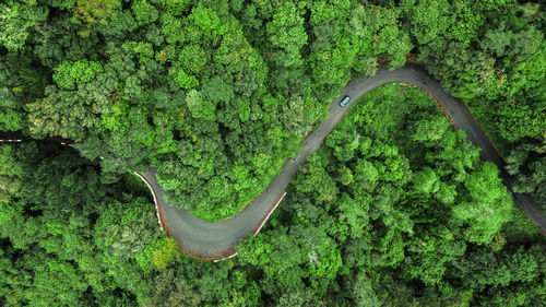 Aerial view of curve road on the high mountain in encumeada, ribeira brava, madeira island.