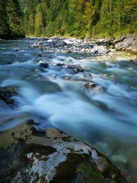 Surface level of stream flowing in forest