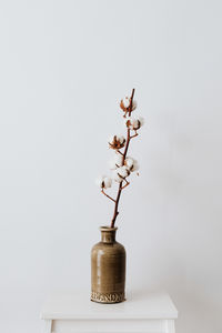 Close-up of white flower vase on table against wall