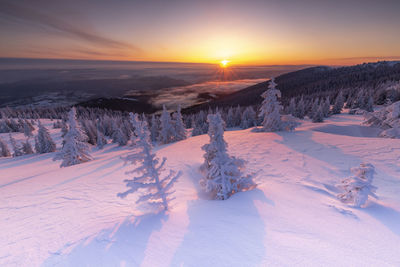 The beauty of winter on the snowy mountains at sunrise. vladeasa mountains - romania