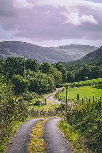 Road amidst green landscape against sky