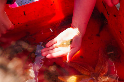 High angle view of woman standing in water