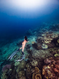 Man swimming in sea