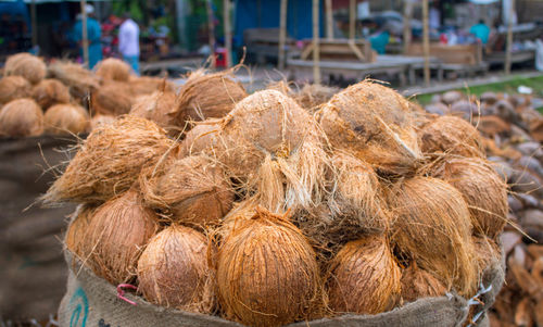 Close-up of coconuts for sale at market stall