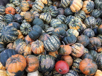 Full frame shot of pumpkins