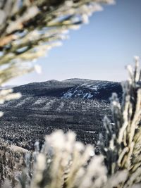 Close-up of snow covered mountains against sky