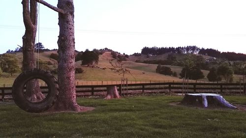 Trees on grassy field