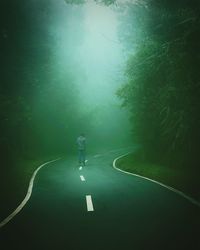 Country road along trees