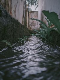 Surface level of footpath amidst buildings