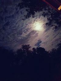 Low angle view of trees against sky during sunset