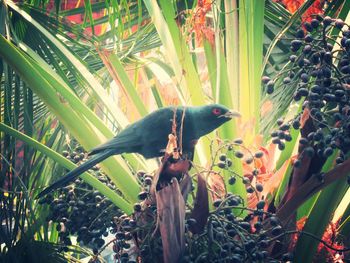 Bird perching on branch
