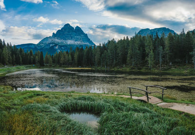 Scenic view of trees and mountains against sky