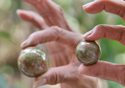 Close-up of person holding fruit