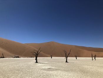 Scenic view of desert against clear sky