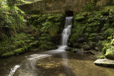 Scenic view of waterfall in country park 