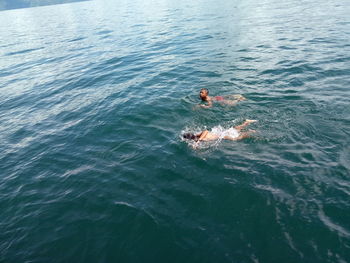 High angle view of man swimming in sea