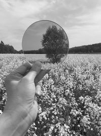 Midsection of person holding plant on field against sky