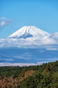 mountain