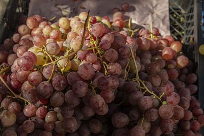 Close-up of grapes for sale at market stall