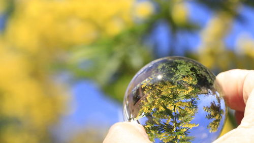 Close-up of hand holding crystal ball 