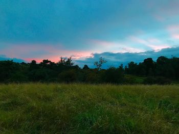 Scenic view of field against sky at sunset