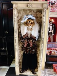 Portrait of woman standing against wall