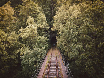 Rear view of person on railroad track in forest who walks into a tunnel