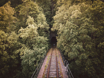 Rear view of person on railroad track in forest who walks into a tunnel