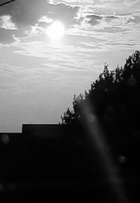 Silhouette trees by plants against sky