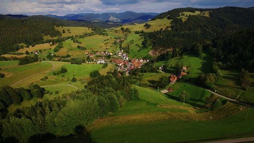 High angle view of trees growing on landscape