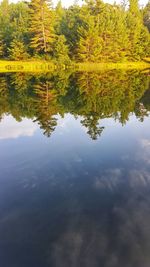 Reflection of trees in lake against sky
