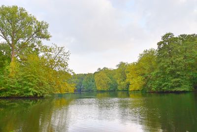 Scenic view of lake by trees against sky