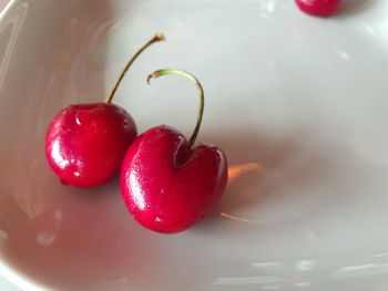 High angle view of cherry on table