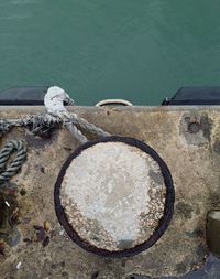 High angle view of bird perching on shore