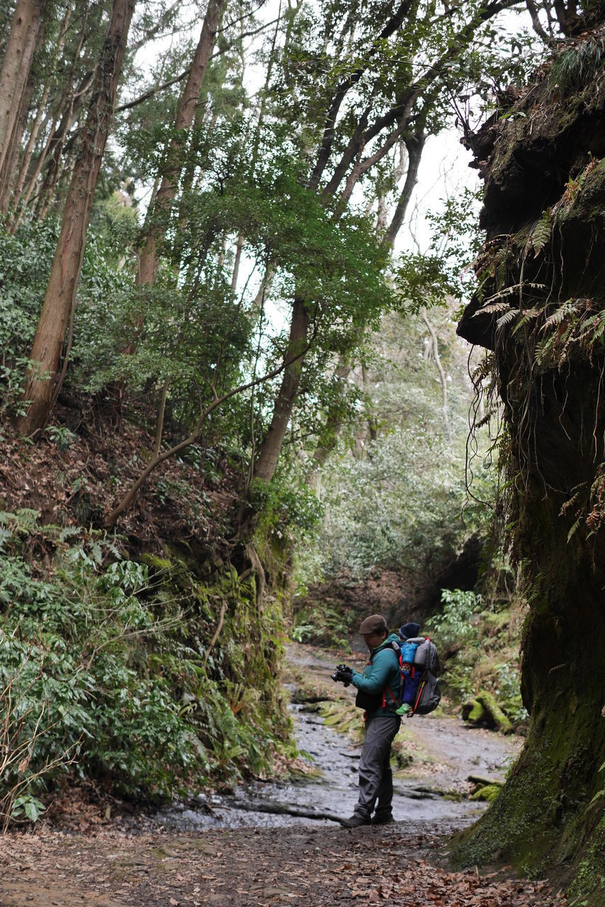 REAR VIEW OF PEOPLE WALKING ON LAND IN FOREST